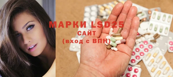 ПСИЛОЦИБИНОВЫЕ ГРИБЫ Михайловка