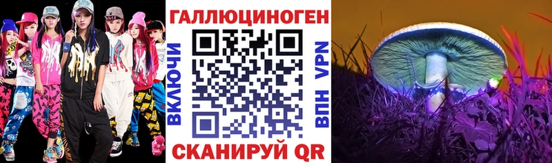 дарнет шоп  Томилино  Псилоцибиновые грибы прущие грибы 