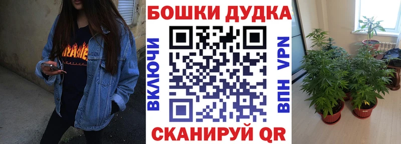 где найти наркотики  Томилино  ОМГ ОМГ зеркало  Конопля марихуана 